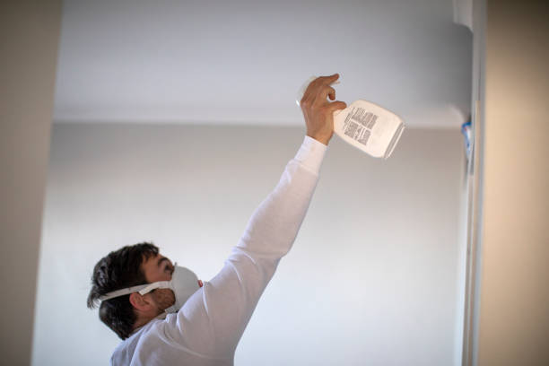 Best White Mold Remediation in Forsyth, IL