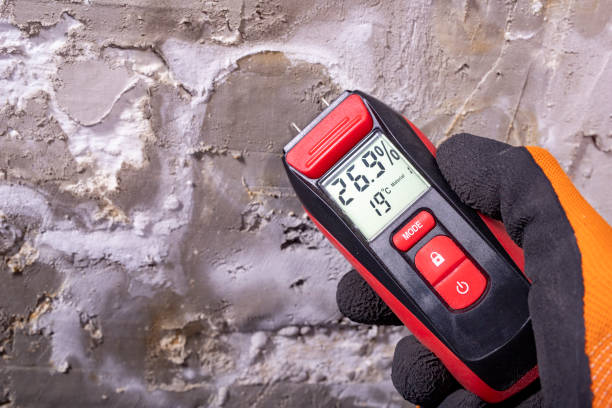 Best Basement Mold Remediation in Forsyth, IL