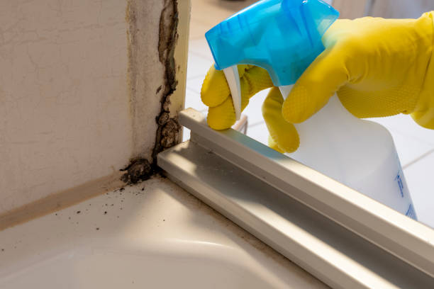 Forsyth, IL Mold Remediation Company