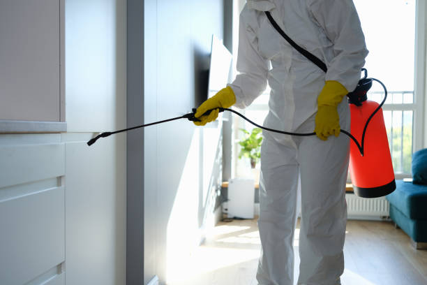  Forsyth, IL Mold Removal Pros